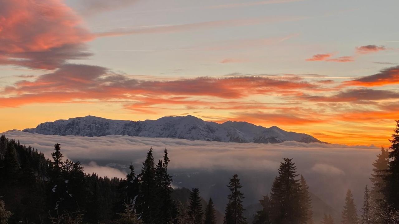Yager Chalet Poiana Brasov Ngoại thất bức ảnh